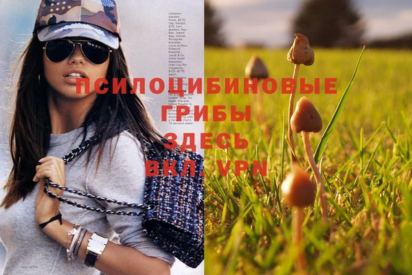 шишки Россошь