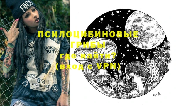 шишки Россошь