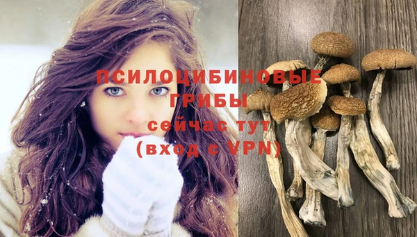 шишки Россошь